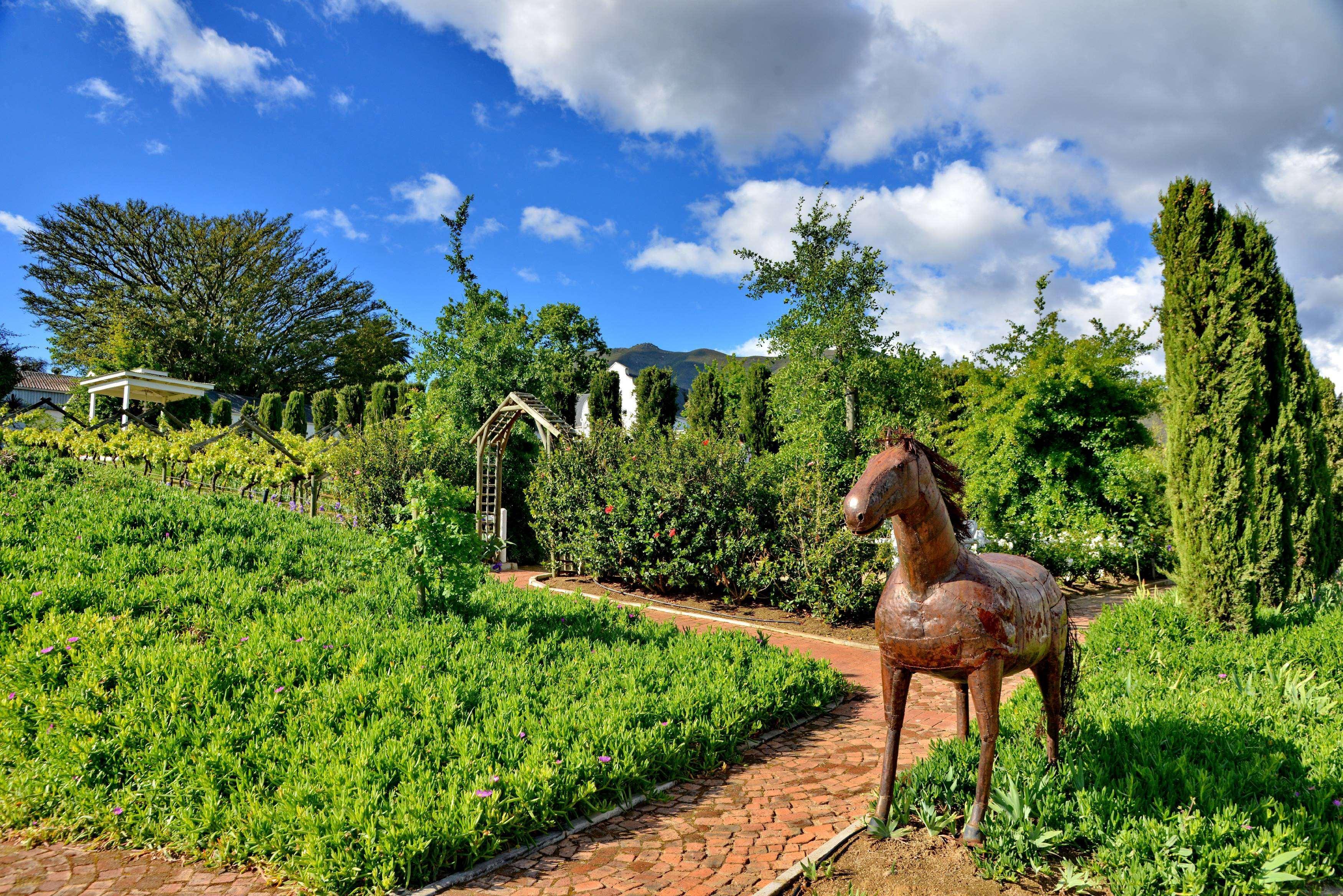 Val Du Charron Wine & Leisure Estate Hotell Wellington Exteriör bild